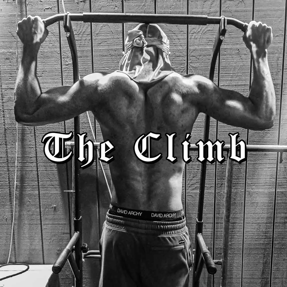 The Climb cover art